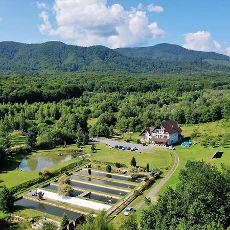 Valea Salbatica Hotell Sinca Noua Eksteriør bilde