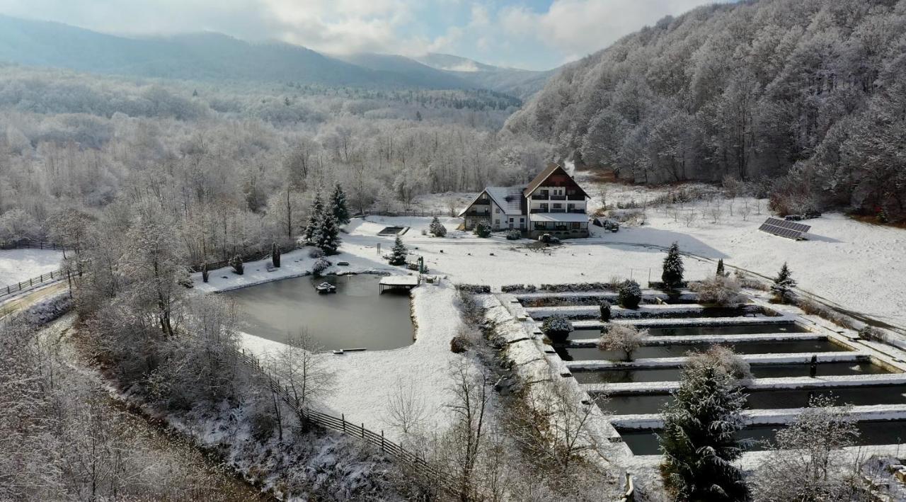 Valea Salbatica Hotell Sinca Noua Eksteriør bilde