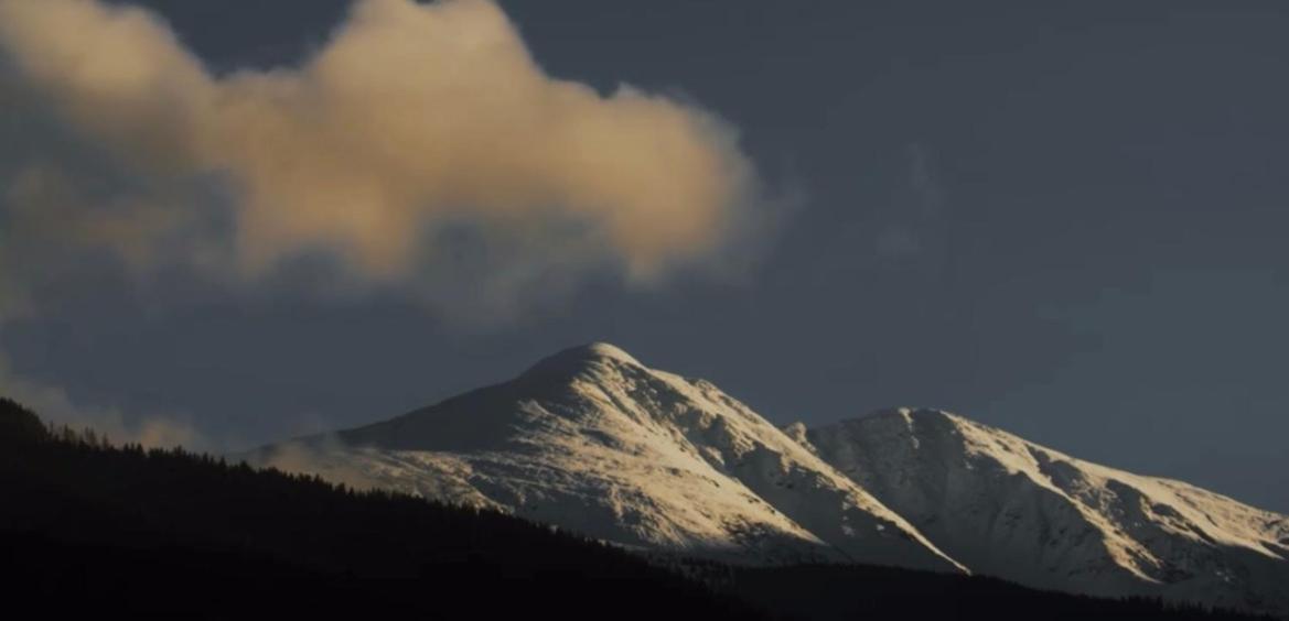 Valea Salbatica Hotell Sinca Noua Eksteriør bilde