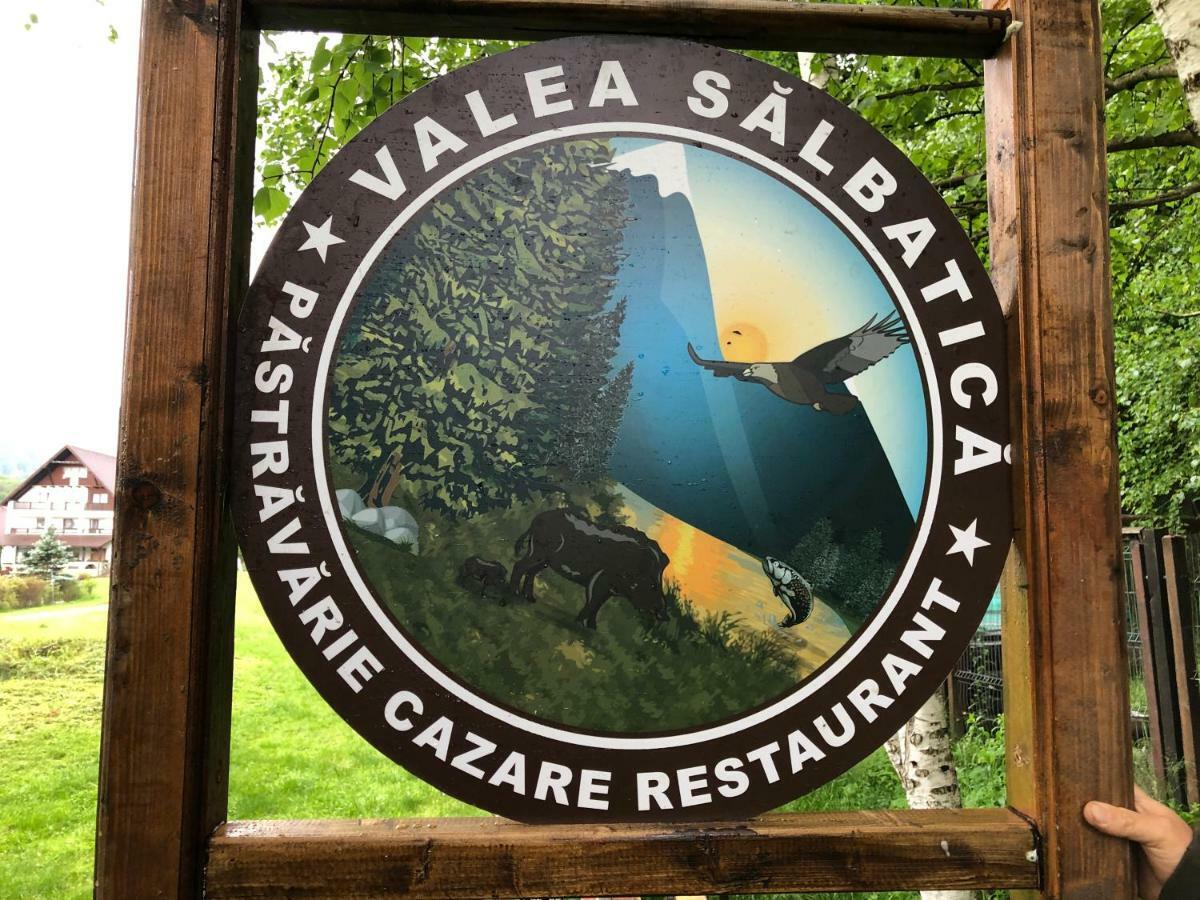 Valea Salbatica Hotell Sinca Noua Eksteriør bilde