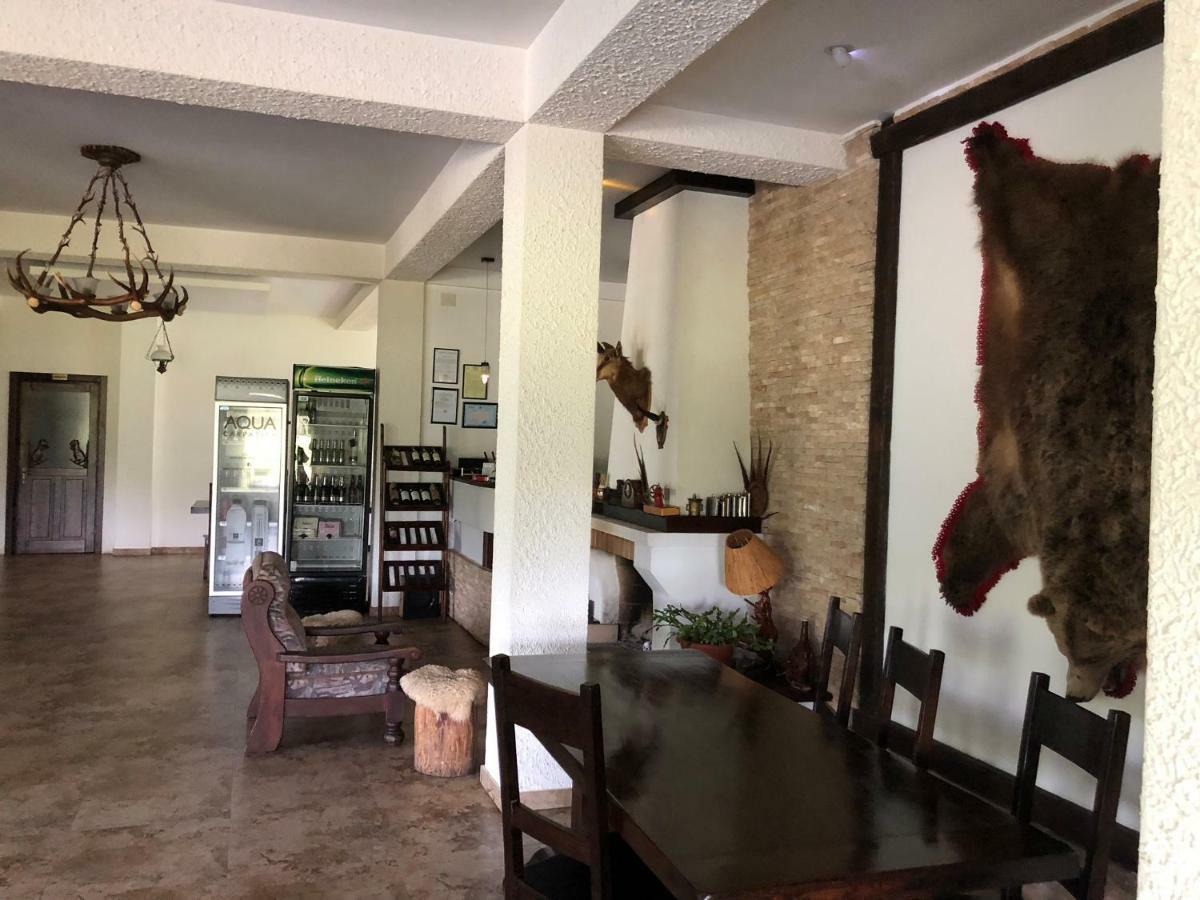 Valea Salbatica Hotell Sinca Noua Eksteriør bilde